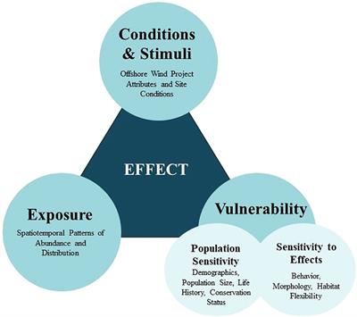 A framework for studying the effects of offshore wind energy development on birds and bats in the Eastern United States